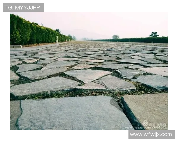 与吴娜畅聊网球生涯的点滴与挑战，探寻她的成长与梦想