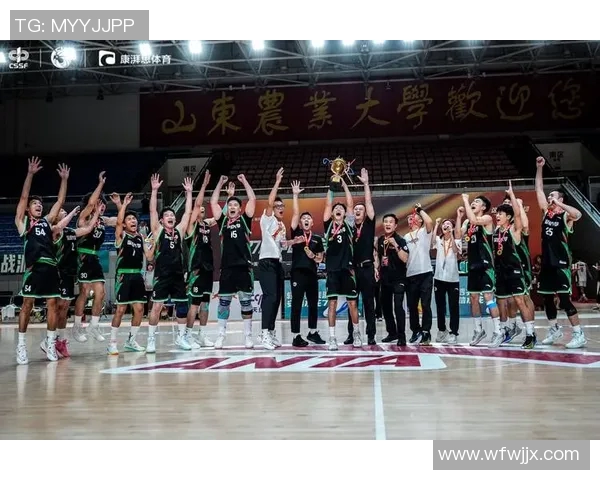 深圳篮球队在冠军赛中的战术分析与表现评估