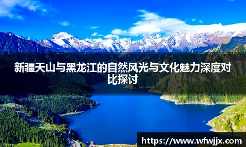 DG视讯官方网站
