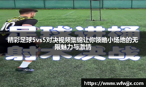 DG真人视讯